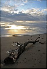 photo "***"