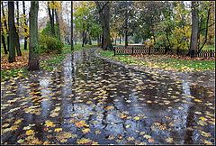 фото "в осеннем парке"