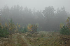 photo "***"