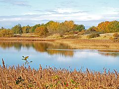 фото "Autumn Ouverture"