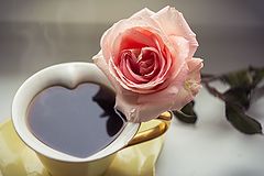 photo "***"