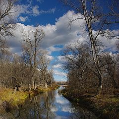 photo "Autumn"