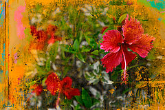 photo "dessine-moi un mouton"