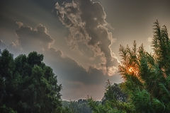 photo "***"
