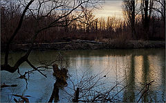 photo "***"