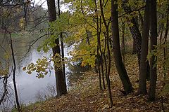 photo "***"