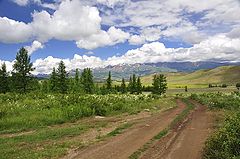 photo "Altai. Kuraiskaya steppe"