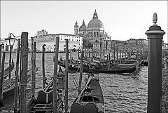фото "Венеция графичная"