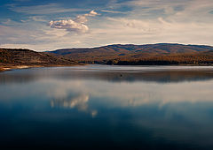 photo "A bit of summer in November ..."