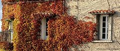 фото "autumn is here"