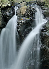 фото "Живая вода"