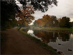 photo "Autumn in Sweden"