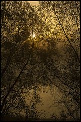 photo "***"