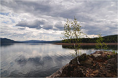 фото "Жизнь на скалах"