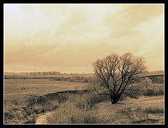 photo "***"