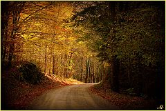 фото "Way to light"