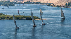 photo "Ballet on the Nile"