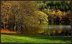 фото "Autumnal pastel"