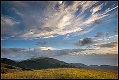 фото "Wind and light"