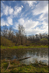 photo "***"