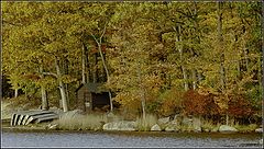 photo "Golden autumn at Harriman State Park"