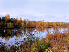 photo "***"