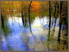 фото "Pastel autumn lake"