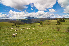 фото "Highlands of Tasmania"