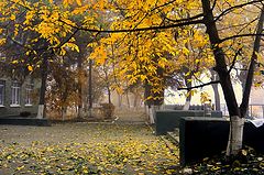 фото "Осеннее настроение"