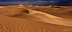 photo "Waves of sand and textures"