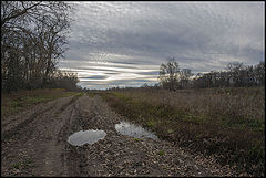 photo "***"