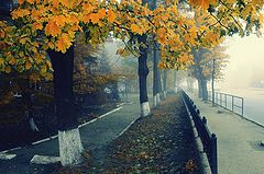 фото "Осеняя грусть"