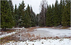 фото "Ноябрь"
