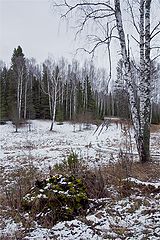 photo "***"