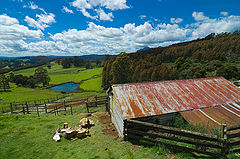 фото "Highlands of Tasmania_2"