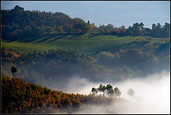 фото "Autumn"