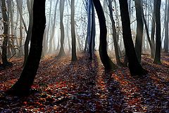 photo "fantomatici"