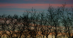 photo "***"