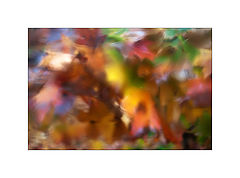 photo "***"