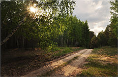 photo "***"
