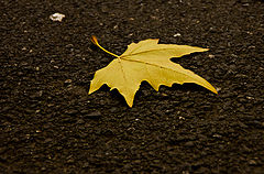 photo "***"