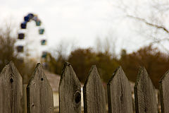 photo "***"