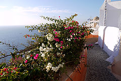 photo "Oia"