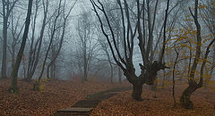 photo "***"