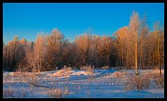 фото "Зима за городом"