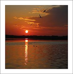 photo "***"