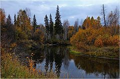 фото "Осенние картинки...."