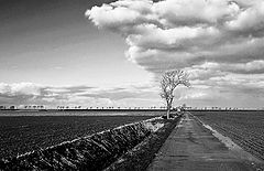 фото "Artifical landscape 1"