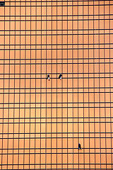 photo "***"