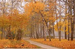 фото "На  осенних  аллеях"